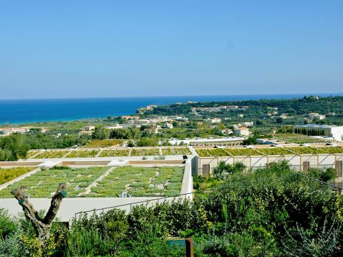 Bird's eye view onto extensive green roofs